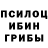 Псилоцибиновые грибы ЛСД Samdagorilla19