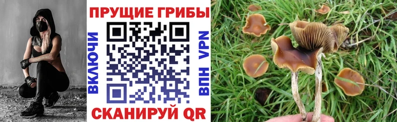 Псилоцибиновые грибы Magic Shrooms  где можно купить наркотик  Азнакаево 