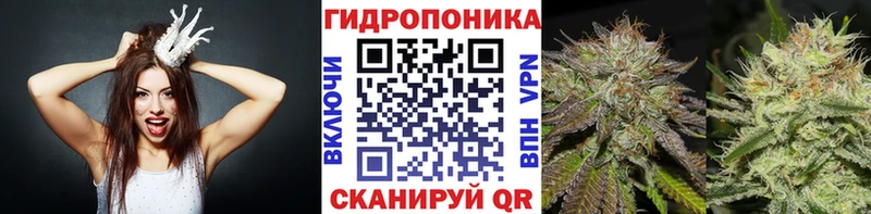 как найти   Азнакаево  Шишки марихуана VHQ 